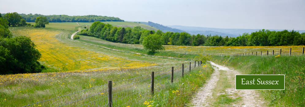 Glooiende heuvels in Sussex, England