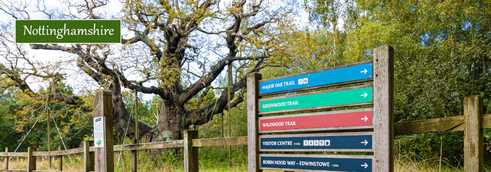 Robin Hood's Sherwood Forest in Engeland