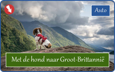 Met de hond in Groot-Brittannië