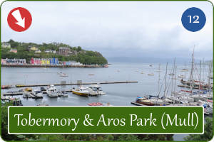 Wandelpad tussen Tobermory en Aros Park in Schotland