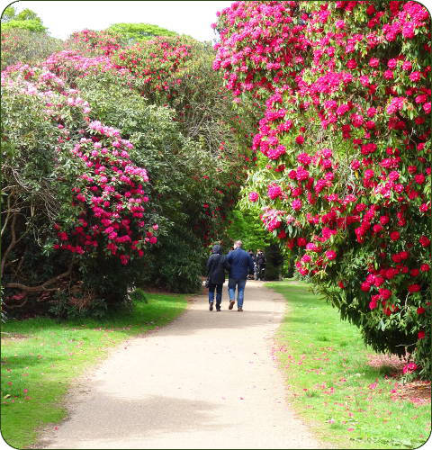 Sheringham Park in Norfolk, Engeland