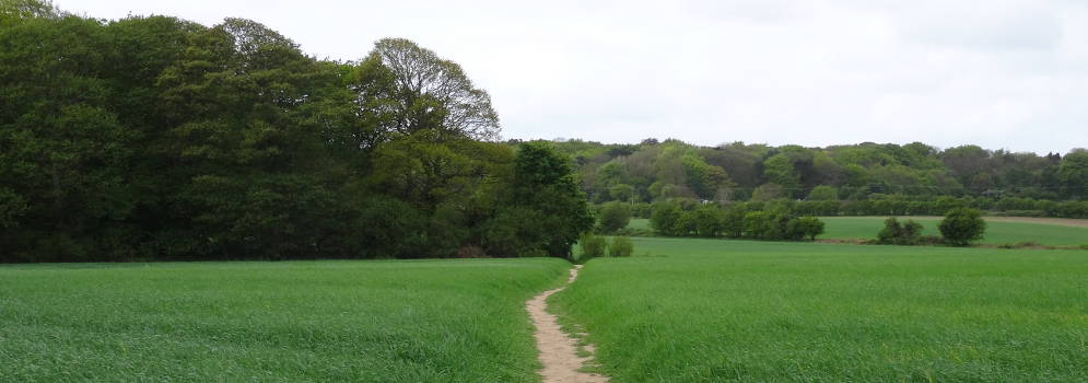 Wandelpad naar Felbrigg Hall in Norfolk, Engeland