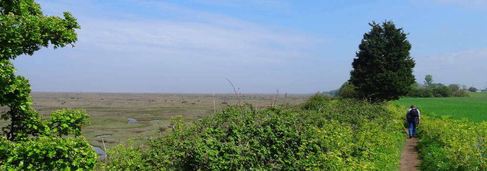 Wandelen langs kwelders en zoutmoerassen in Engeland