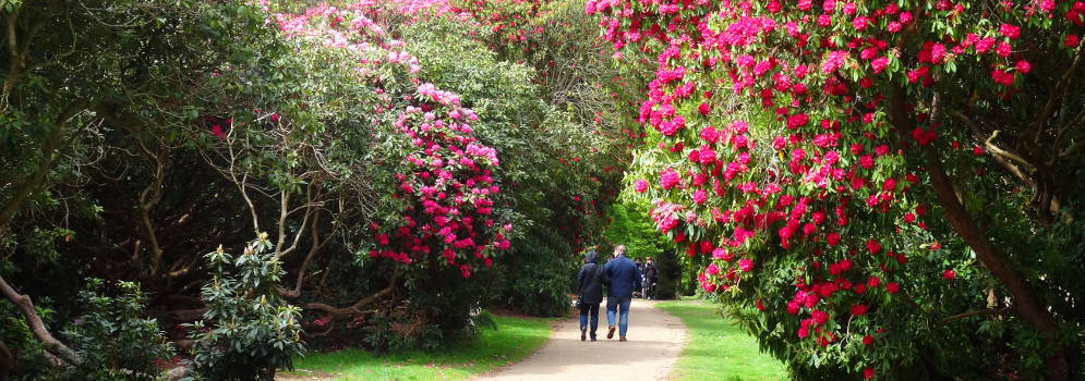 Bostuinen in Sheringham Park, Norfolk
