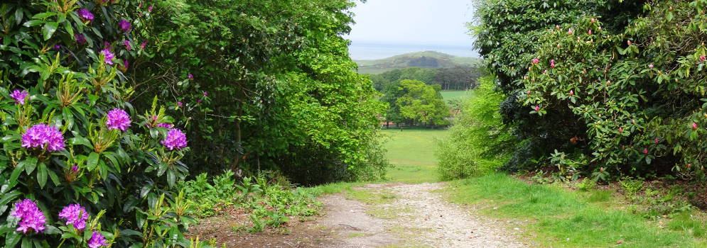 Uitzicht van Sheringham Park op Norfolk