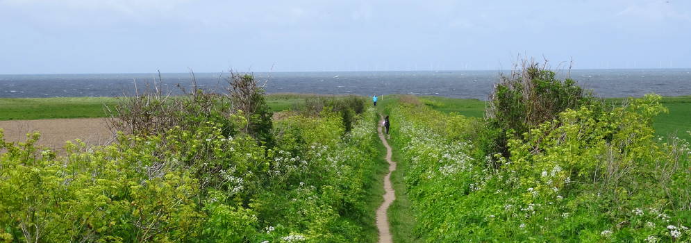 Wandelpad van Sheringham Park naar de Norfolk Coast in Engeland