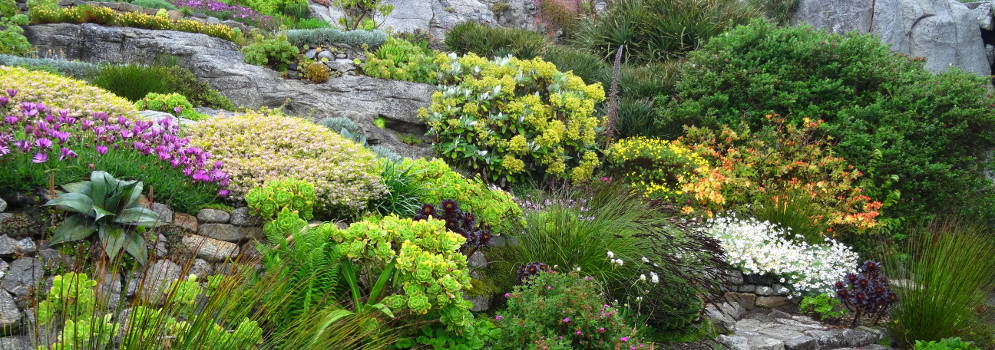 De rotstuin van St Michael's Mount in Cornwall, Engeland