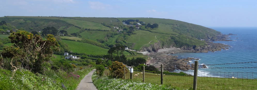 Zicht op Talland Bay in Engeland, Cornwall