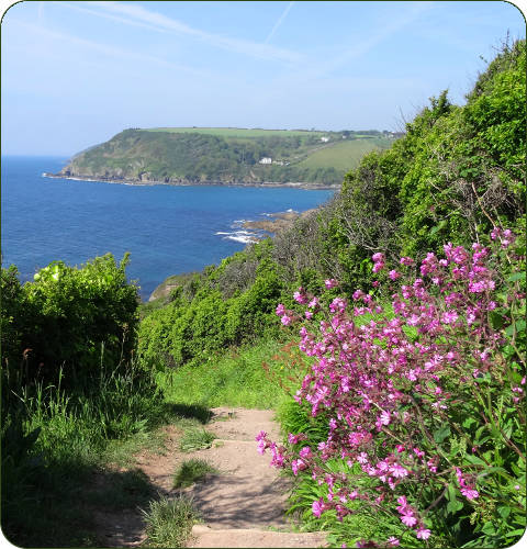 Wandelen naar Talland Bay in Cornwall