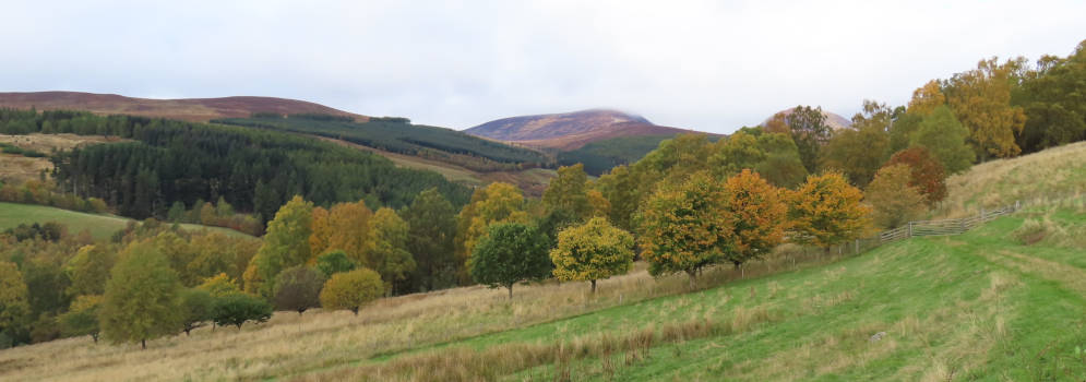 Glen Tilt in Perthshire