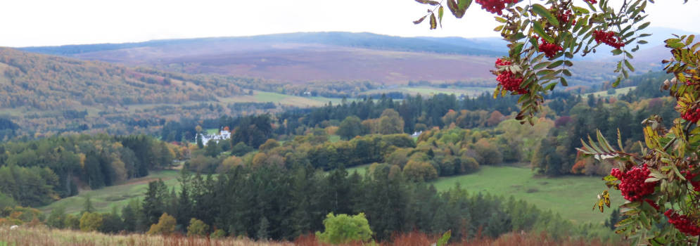 Glen Tilt in Perthshire