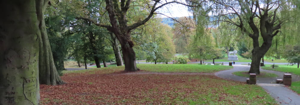 Lincoln Arboretum