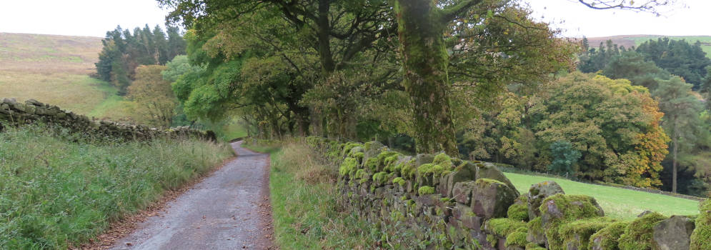 Bossen in West Yorkshire