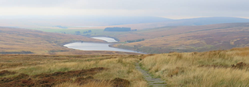 Heidevelden in West Yorkshire