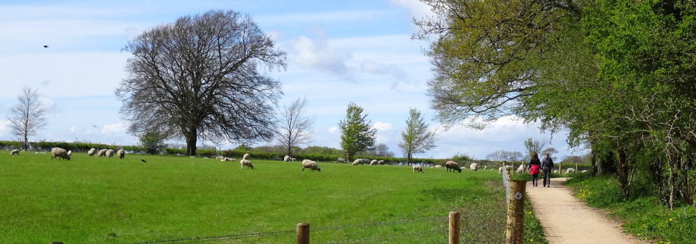 Wandelaars op de Bath Skyline Walk in Engeland