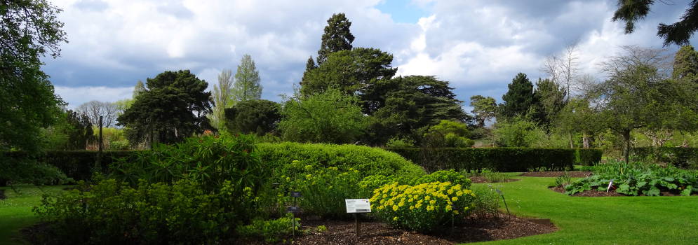 De botanische tuinen van Cambridge in Engeland