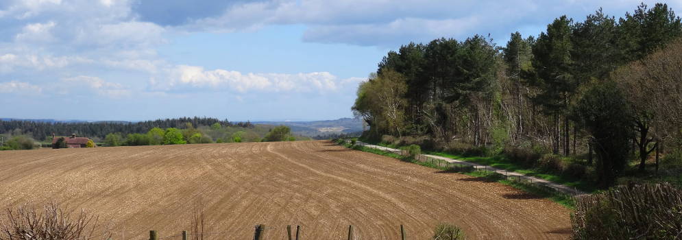 Landerijen in de Dorset NL , Engeland