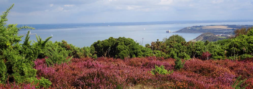 Heidevelden, Colwell Bay en Yarmouth op het eiland Wight, Engeland