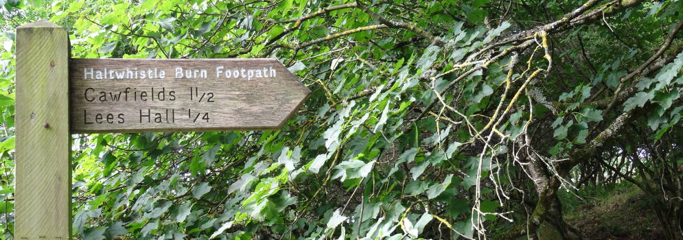 Wandelpad langs de Haltwhistle Burn in Northumberland, Engeland