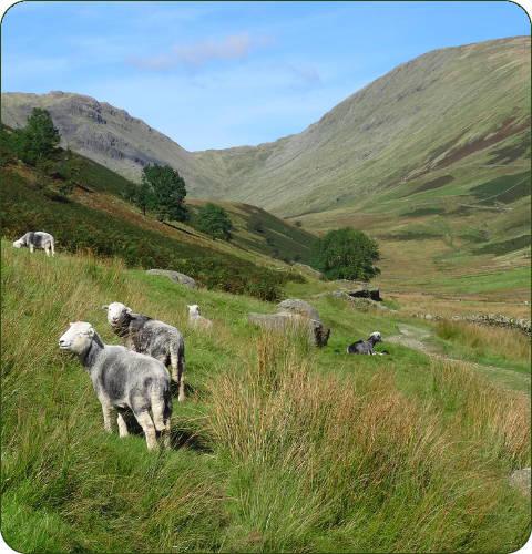 Troutbeck Valley vlakbij Ambleside in het Lake District