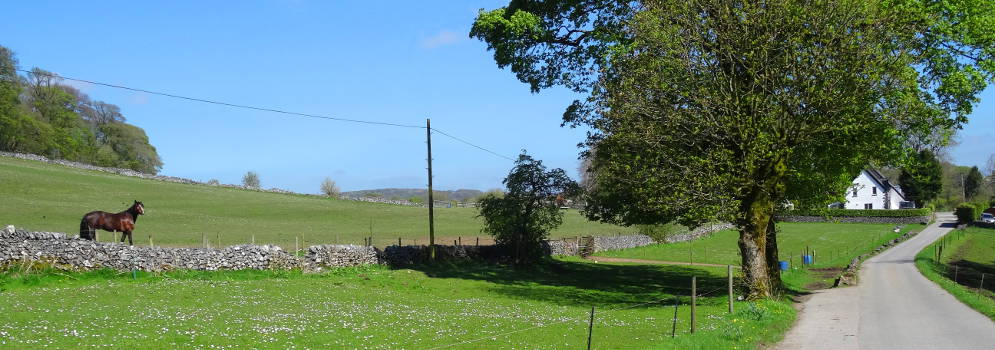 Paardenboerderij in Buxton, Peak District