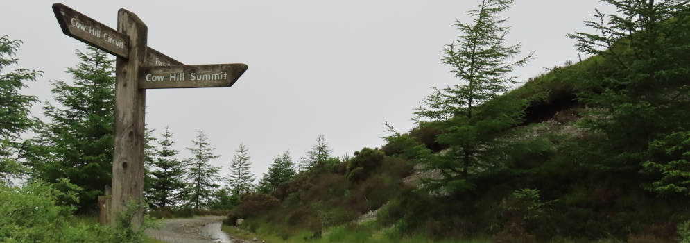 Wandelpad naar de top van Cow Hill in Schotland