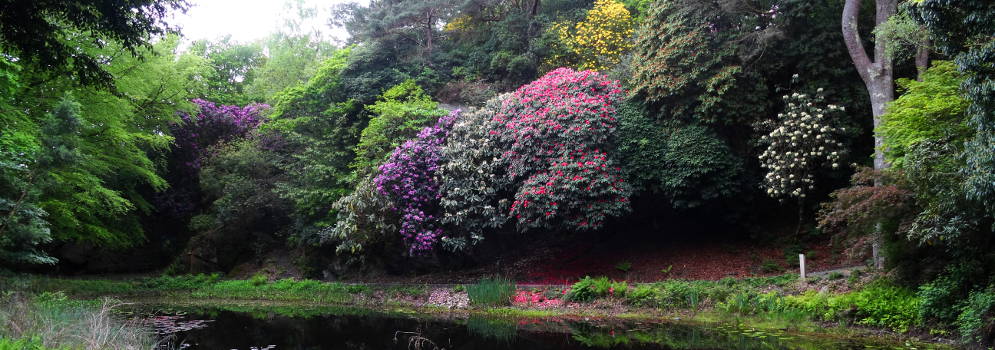 Tuinen van Portmeirion in Wales