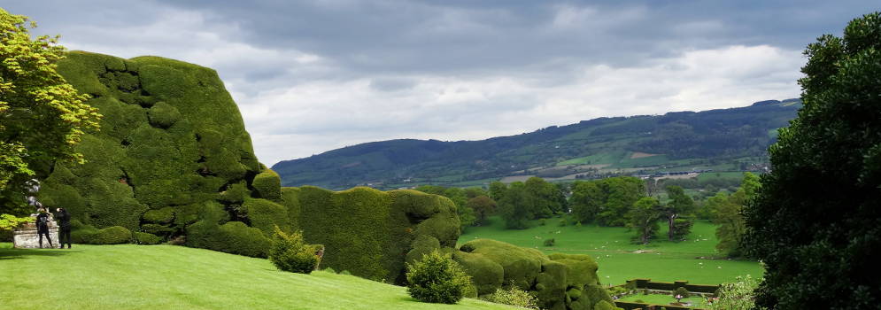 De grote heg van Powis Castle in Wales