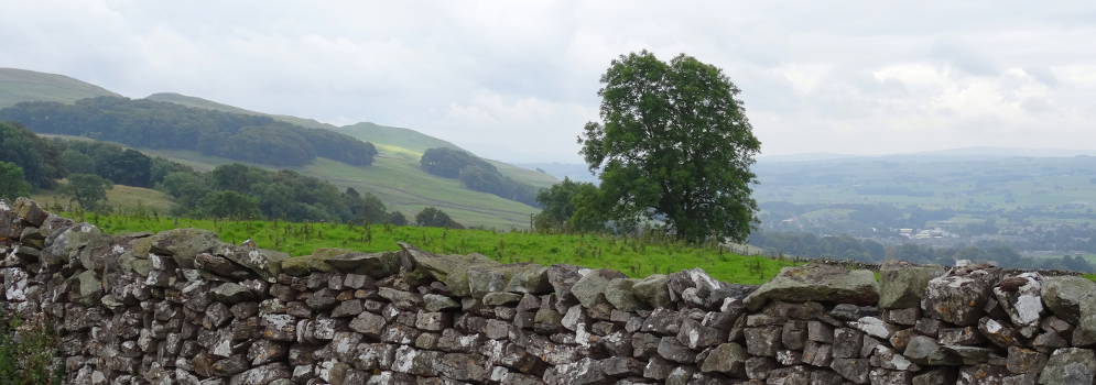Muurtjes in de Yorkshire Dales bij Settle in Engeland