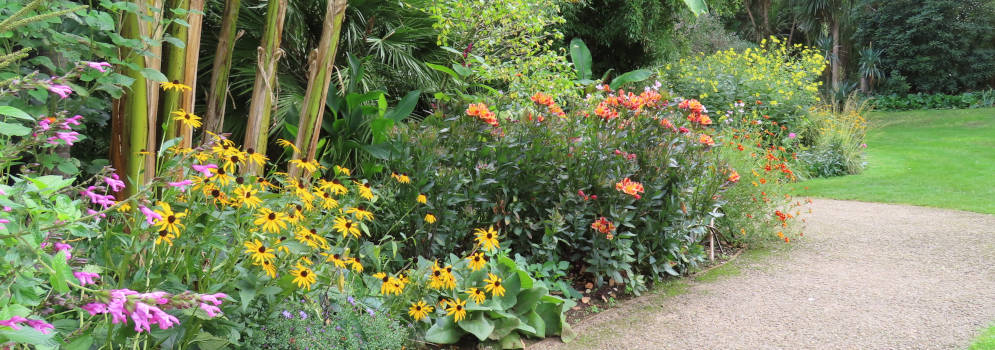 Abbotsbury Subtropical Garden in Dorset