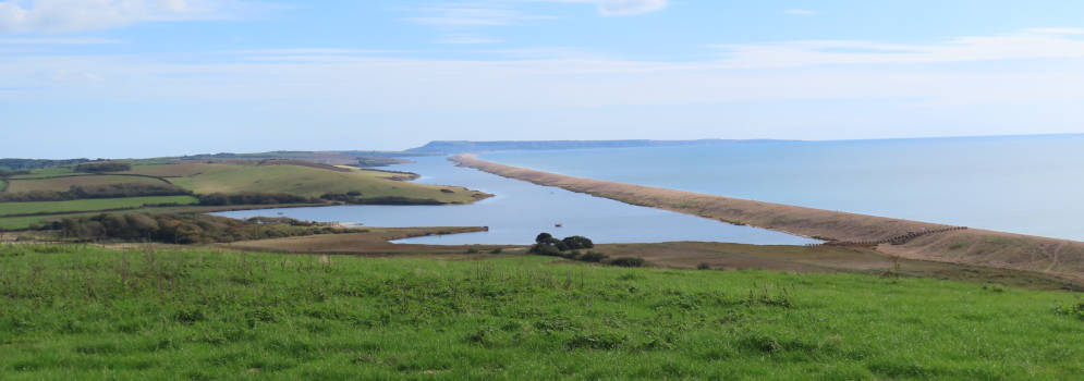 Uitzicht vanuit de Abbotsbury Subtropical Garden