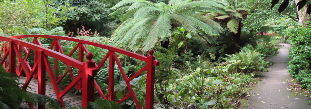 Bruggetje in de Abbotsbury Subtropical Garden in Dorset