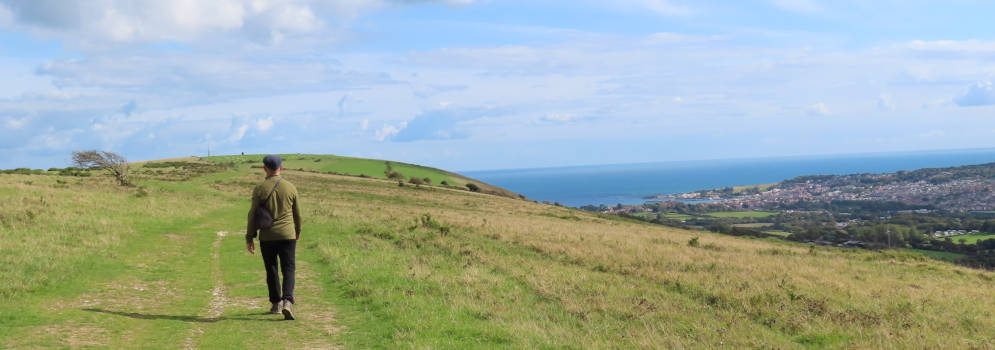 in Dorset