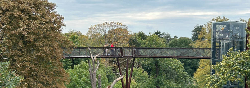 Treetop Walkway in Kew, Londen