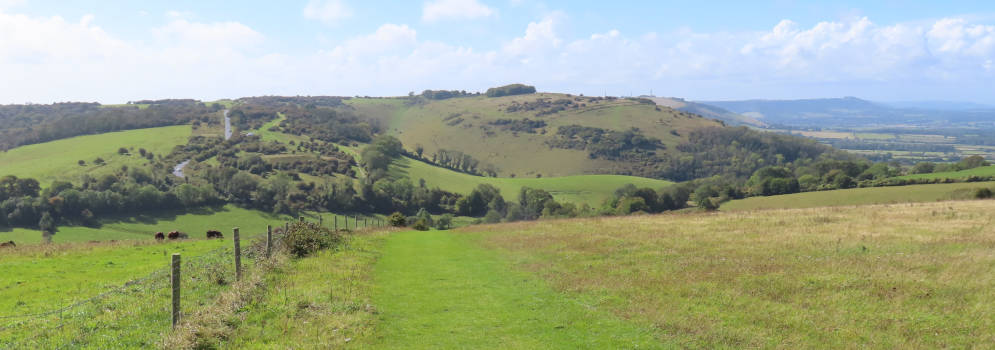 South Downs Way