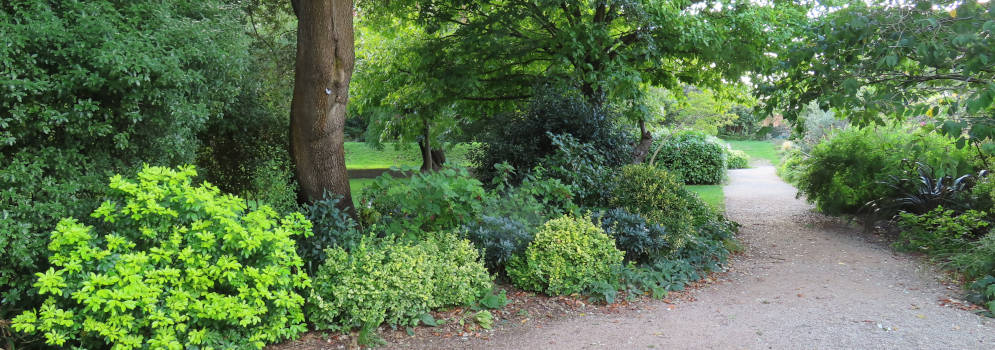 Bihsops Palace Garden in Chichester