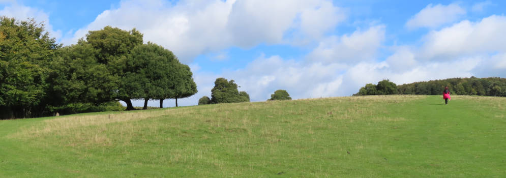 Heuvel bij Arundel