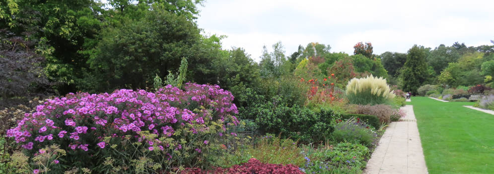 Sir Harold Hillier Gardens in Romsey