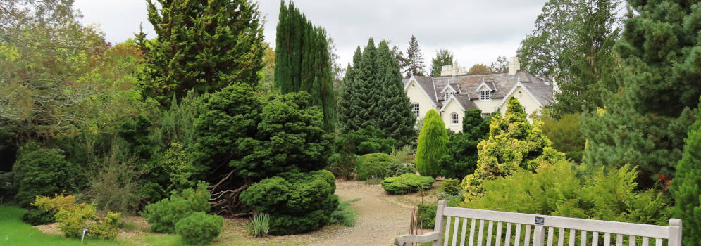 Sir Harold Hillier Gardens in Romsey