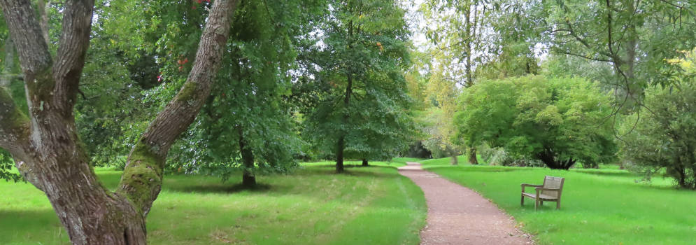 Sir Harold Hillier Gardens in Romsey