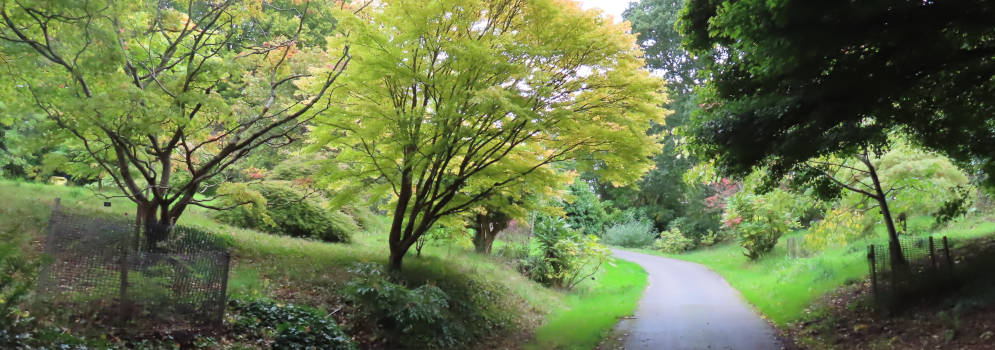 Sir Harold Hillier Gardens in Romsey