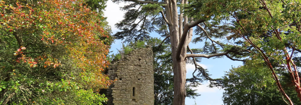 Tuin van Sherborne Castle