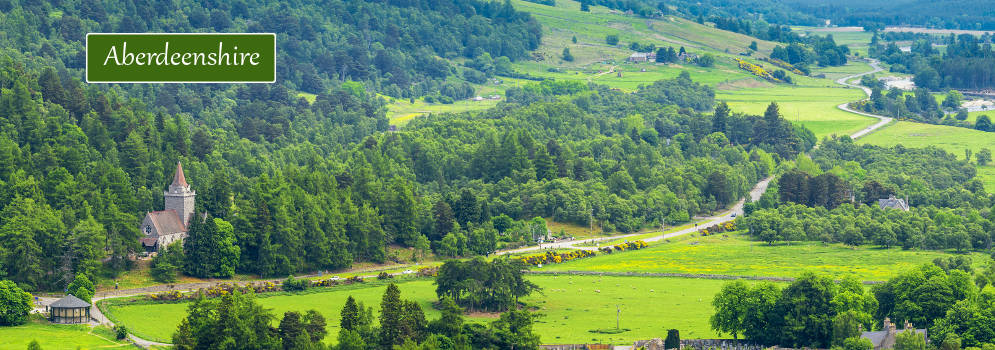 Bosrijke vallei in Aberdeenshire, Schotland
