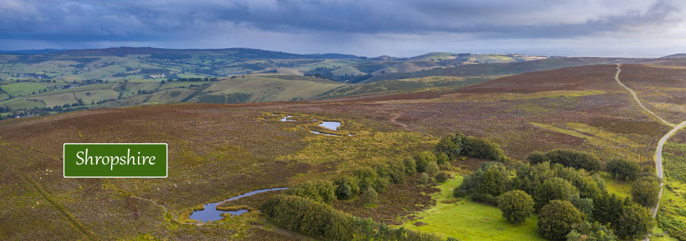 Landschap in Shropshire, Engeland