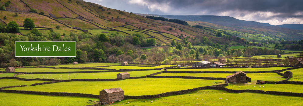 Velden in de Yorkshire Dales, Engeland