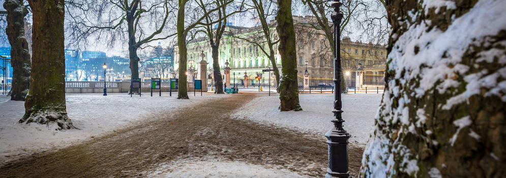 Buckingham Palace en Green Park in de winter in Londen