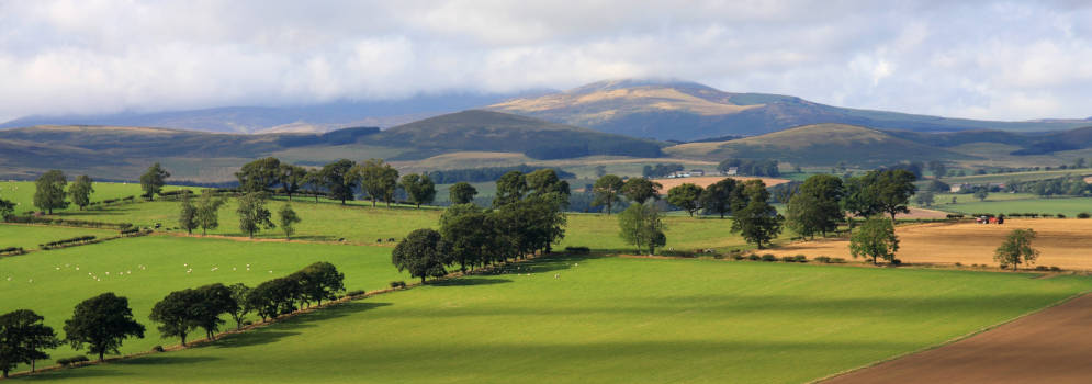 Cheviot Hills in Northumberland, Noord Engeland