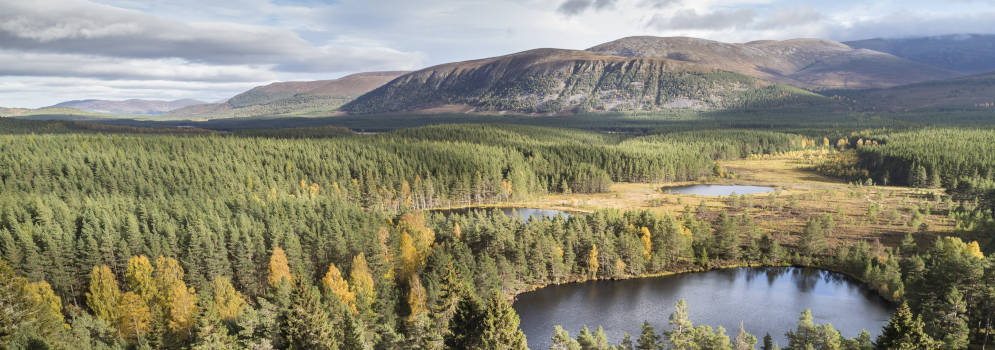 Glen Feshie in het Cairngorms National Park