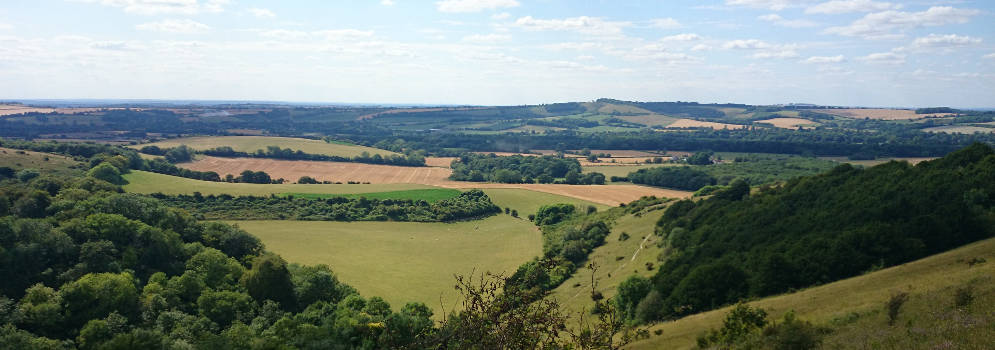Old Winchester Hill in de South Downs