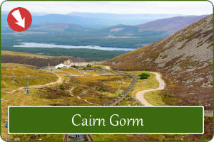 Cairn Gorm